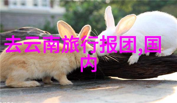 宝宝好会夹啊拉丝了视频免费观看亲子美食制作