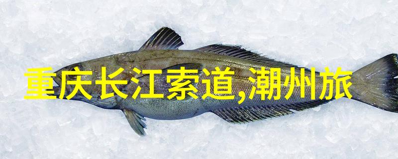 探索全球美景在哪里找寻理想的旅游团队体验