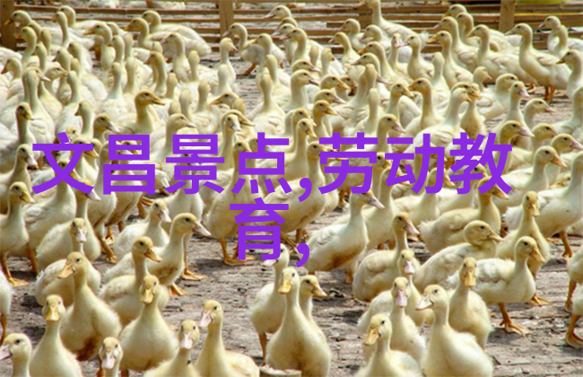 探索湘美湖南旅游地图上的奇遇与风光