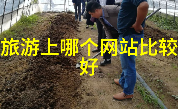 北京到云南旅游团报价我来帮你规划一次性价比高的旅行