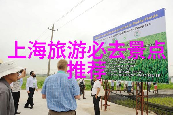远方的足迹迷失在巴哈马海滩上的神秘古城