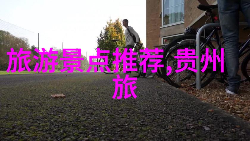 青岛自驾游研究探索海岸线文化与生态旅游的互动机制