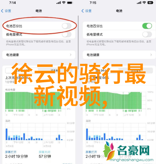 沙雕的100个问题探索趣味与智慧的无限边界