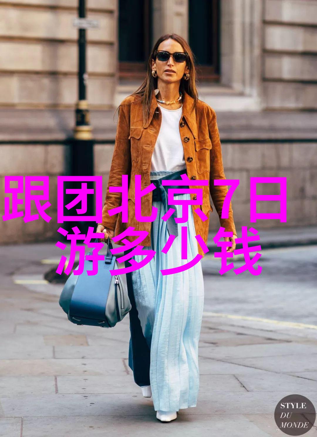 日本樱花季旅游日本春日的美丽之旅