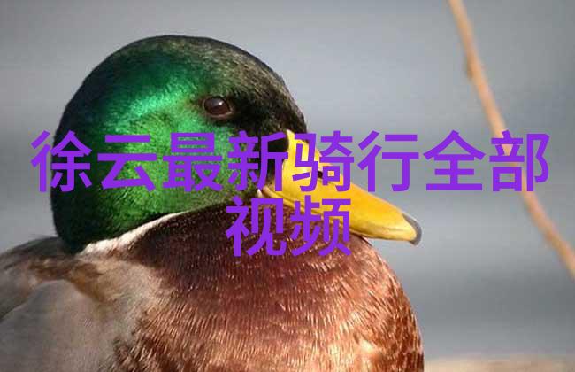 云南古城风情丽江与大理的对比与共鸣