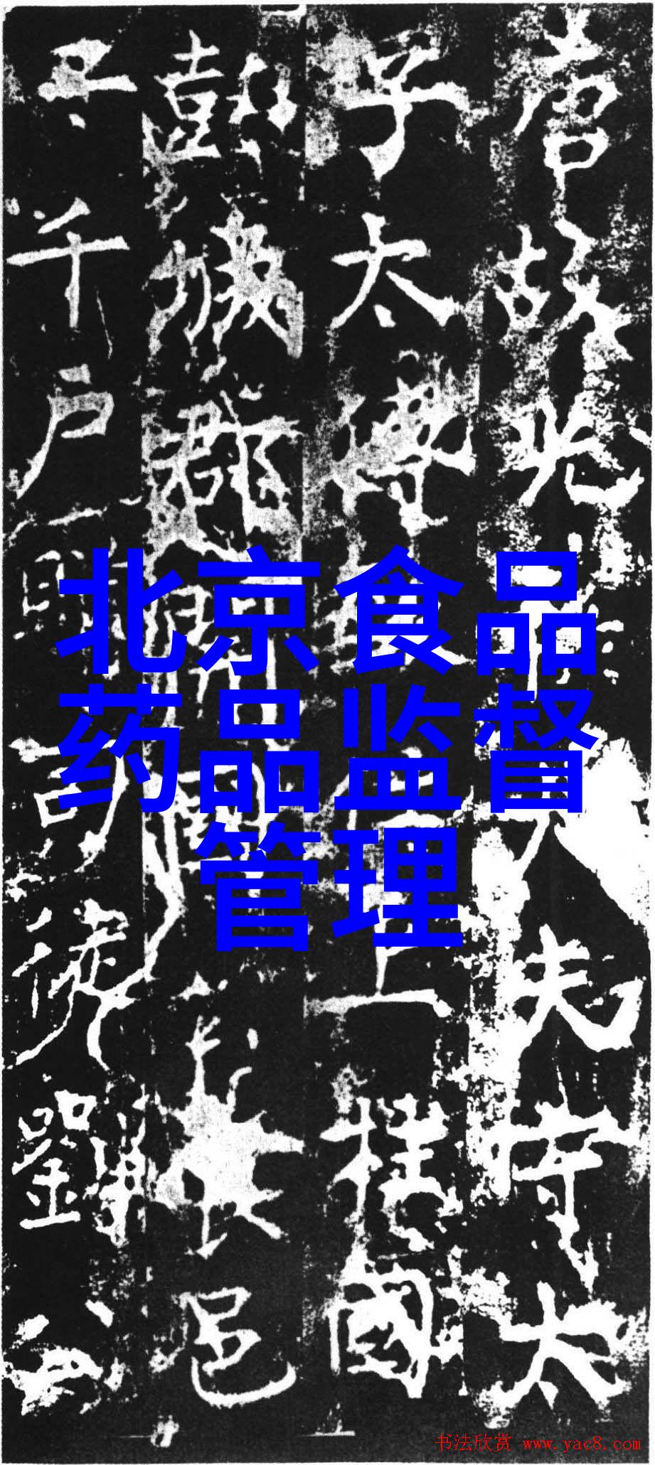 娘娘腔探索文本中的性别角色与情感表达