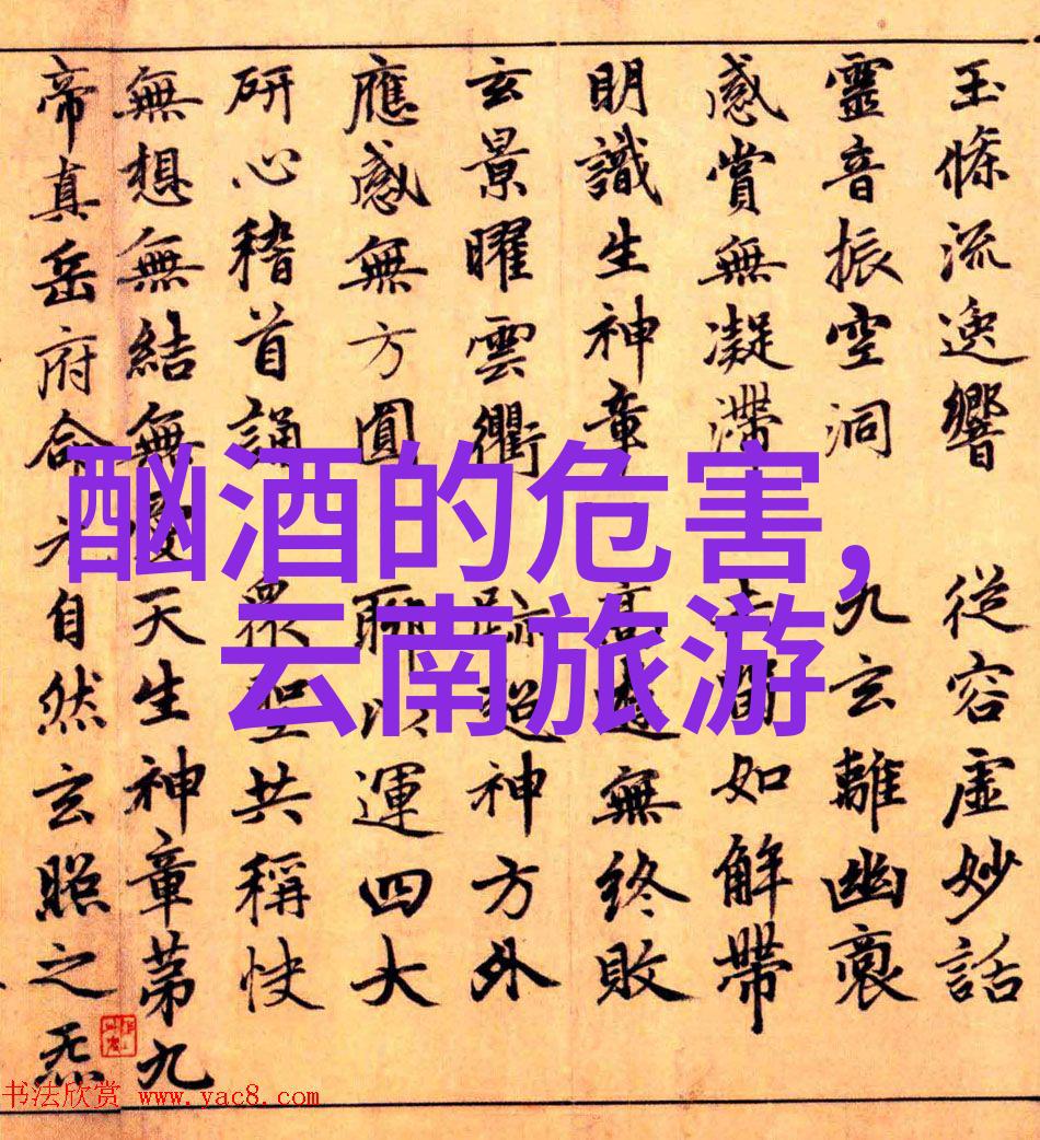 三亚自驾游沿海之冠的魅力探索