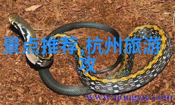 上海美食探索我在这里告诉你这款上海人气美食app官网绝对让你的味蕾舞动