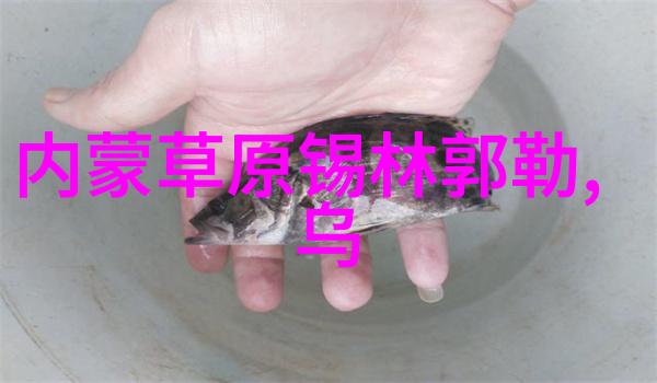 春季去云南旅行是否能避免炎热