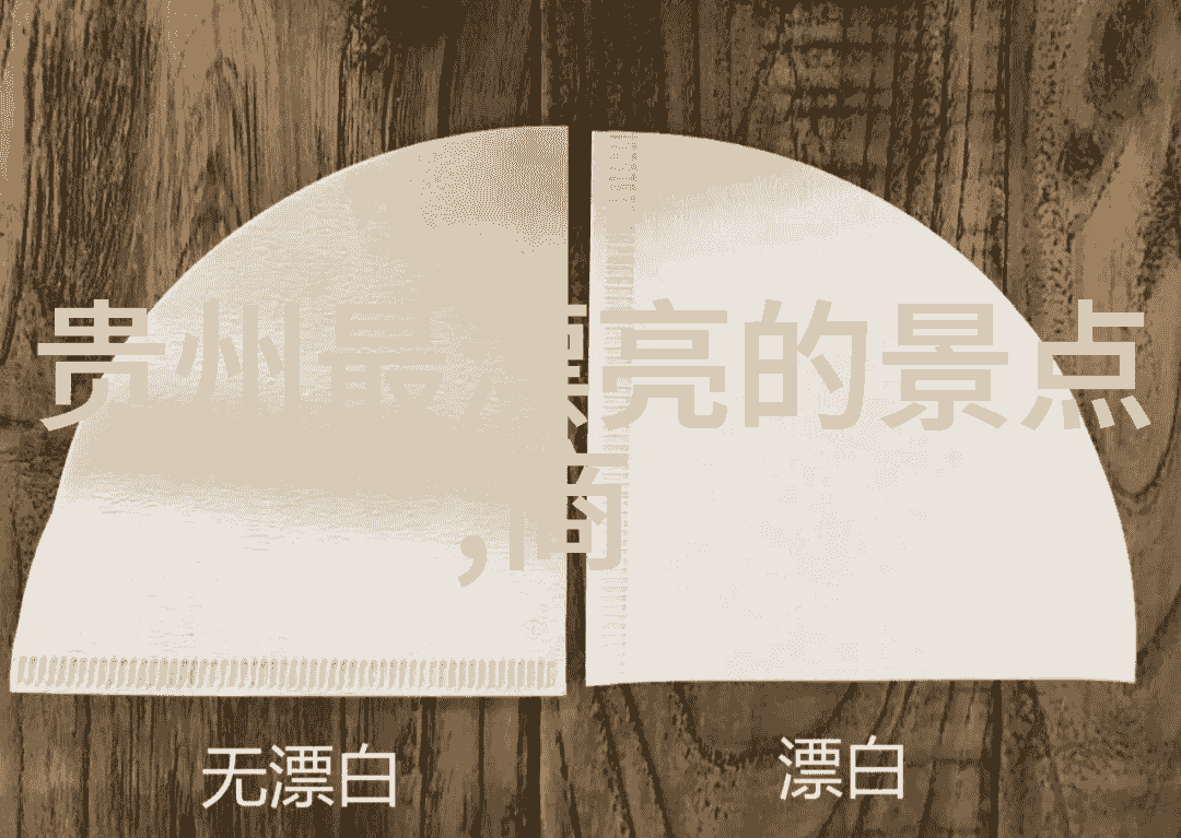 爱情岛论坛永恒的相遇与交流