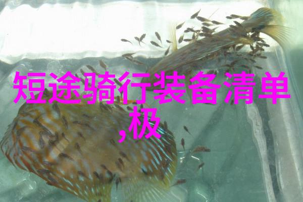 旅游攻略网站亲测必游