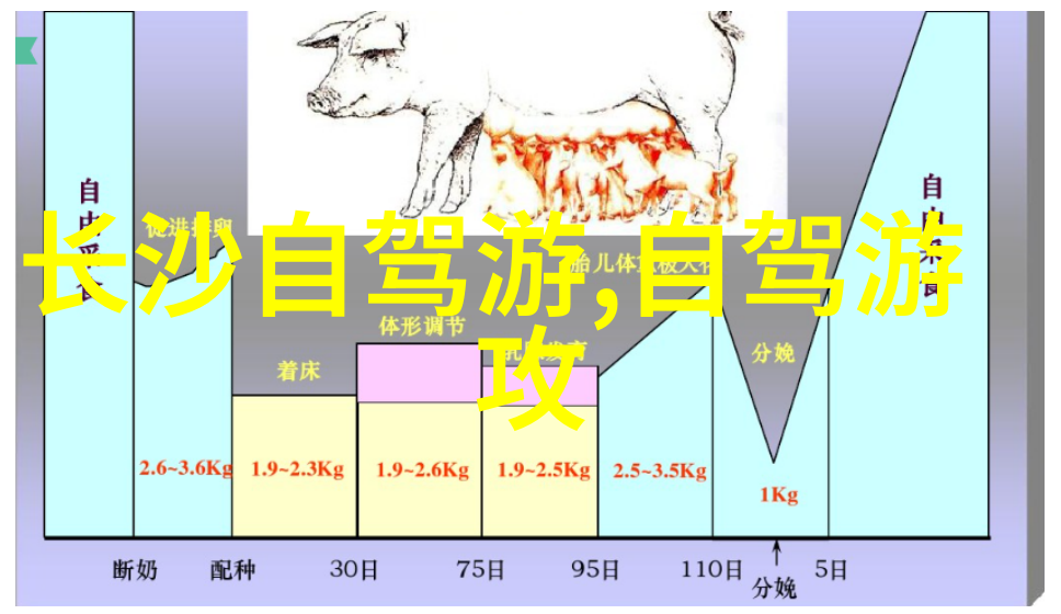 嫁祸于人揭秘背后阴谋的故事
