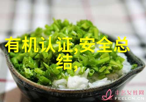 冬季国内旅游推荐 - 绽放的雪花之都探秘中国最佳冬日游玩胜地