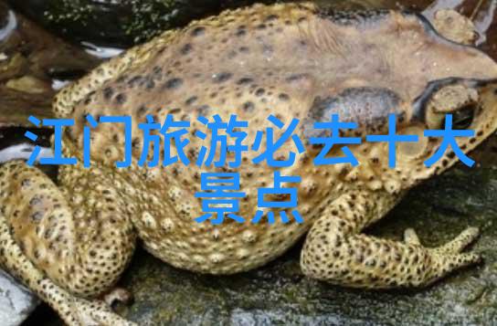 成都探秘一日游必逛地和绝不能错过的美食