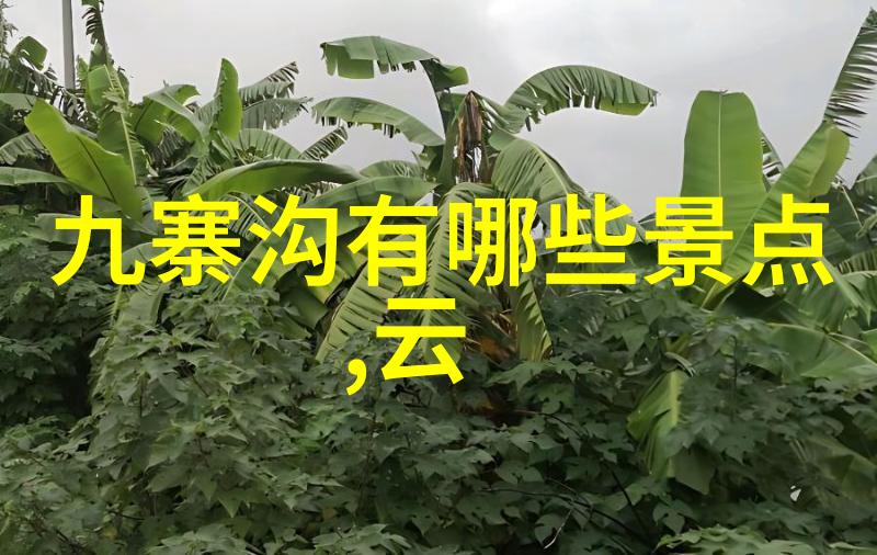 儿童户外游戏探索创造自由与活力