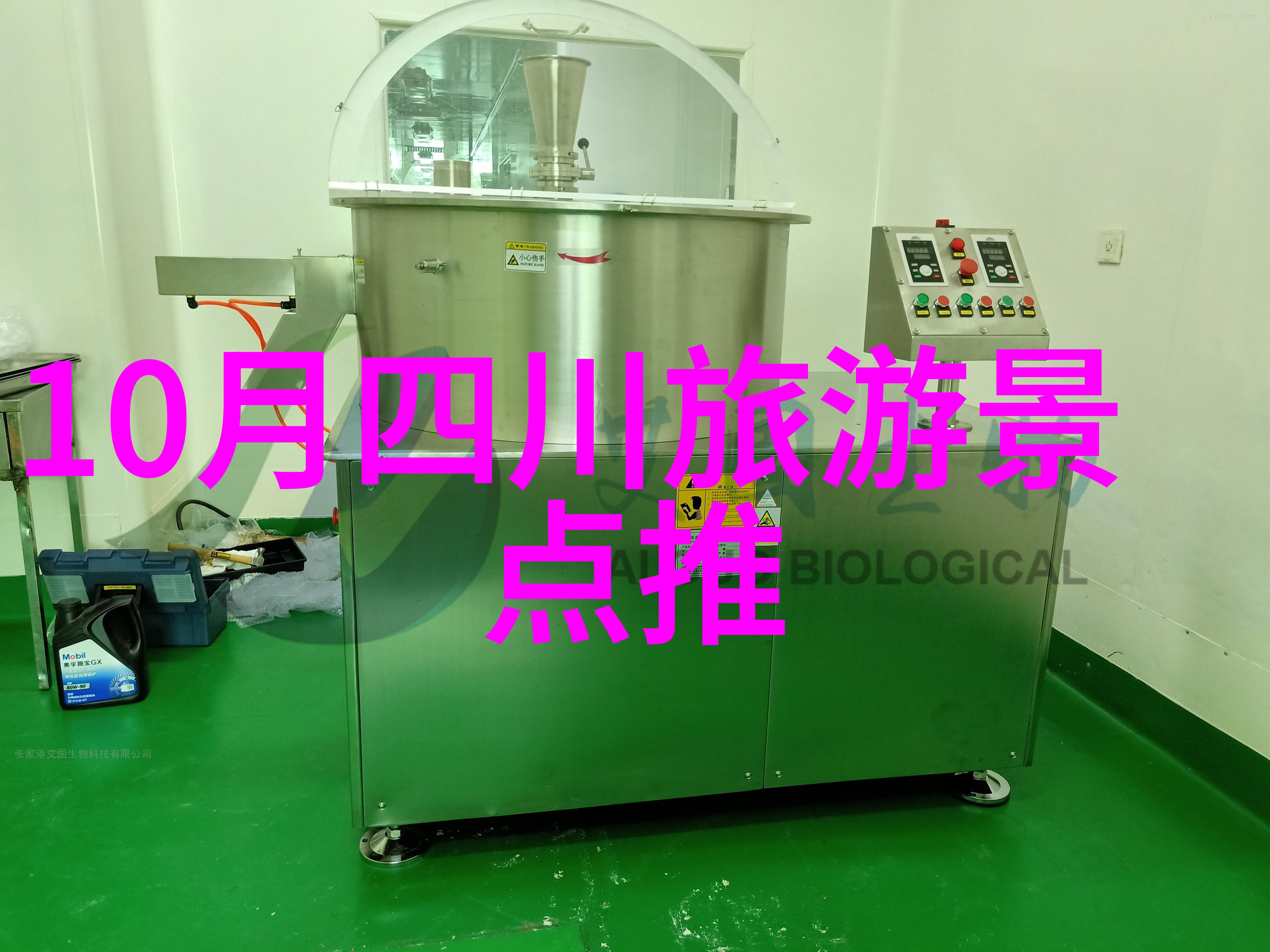 南京历史与现代初二生的城市体验报告