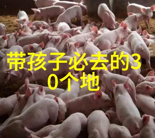大连旅行指南必游景点精选