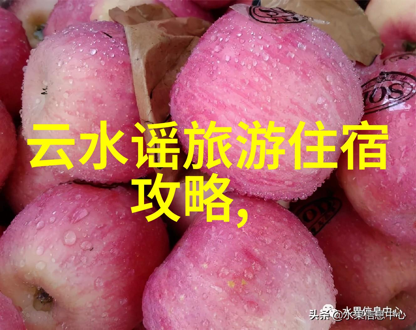 上海凤悦酒店及度假村携子品牌耀目国际酒店展探索保定酒店价格高疑云背后的故事