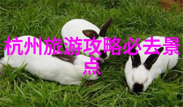 担担面手拉面的另一种风情