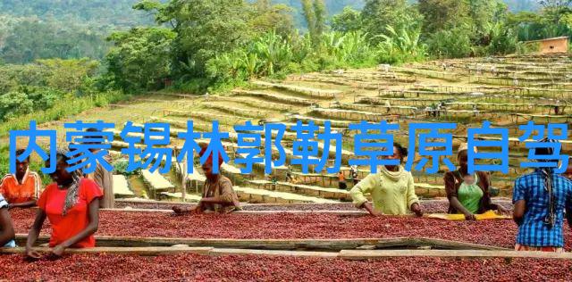 探索广州小众拍照角落品味复古风情与美食佳肴  南京本地美食故事