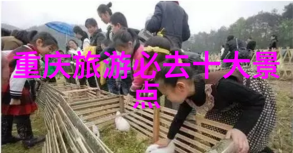 主题-团队建设50至60人集体活动的完美选择