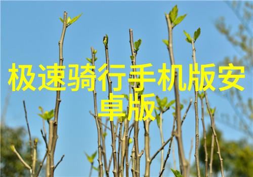 实用性比较21速还是24速更胜一筹