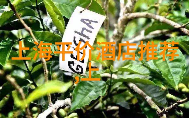 云南自由行之谜揭秘那些隐藏的美丽景点和不为人知的旅行秘诀