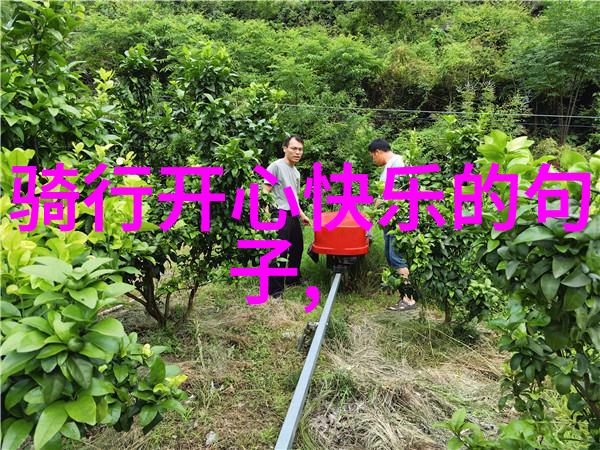 为何说橘子洲头是访问长沙的标志性地点
