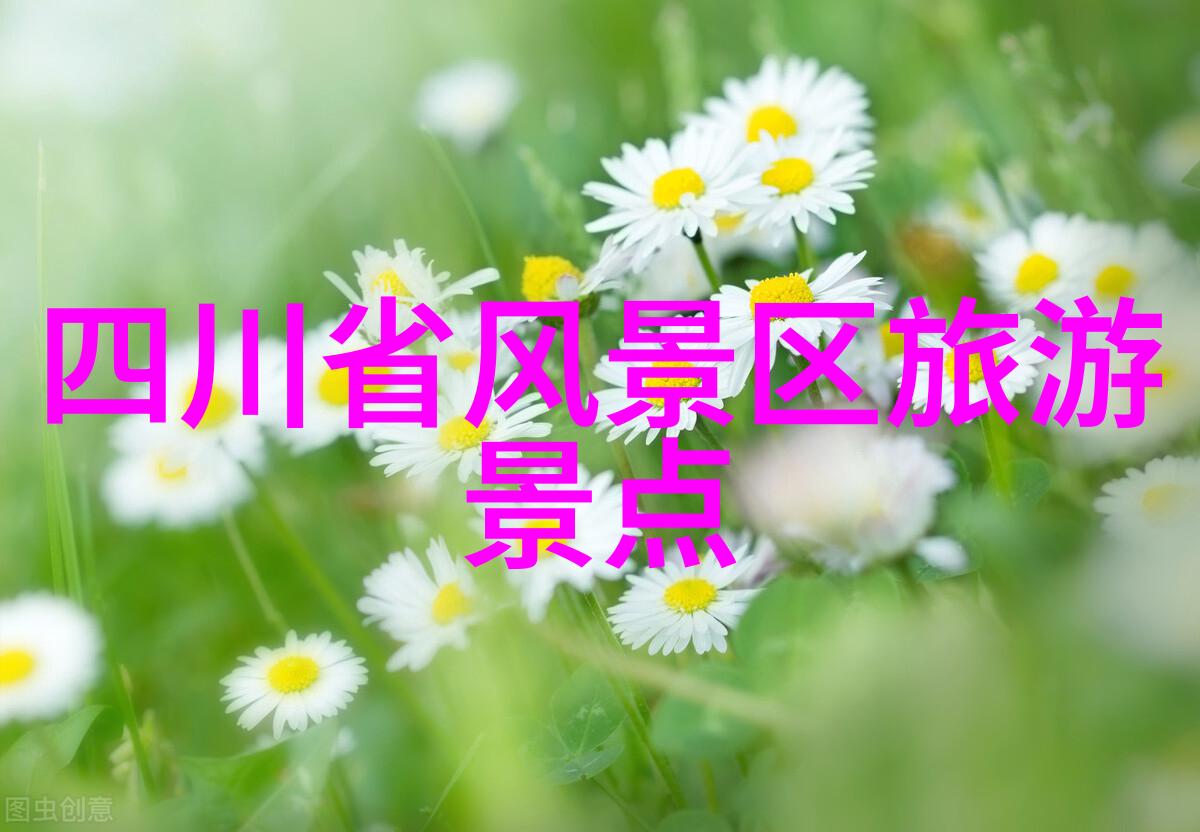 成都小吃街味蕾上的风情画卷