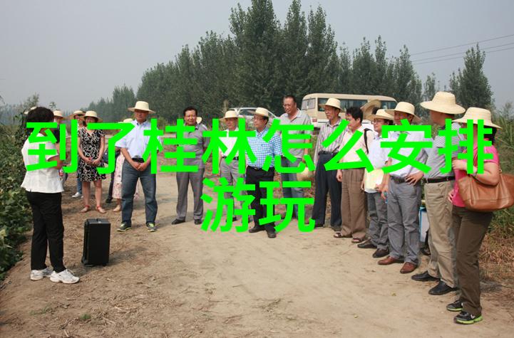 上海的生活天堂探索海边小镇的魅力