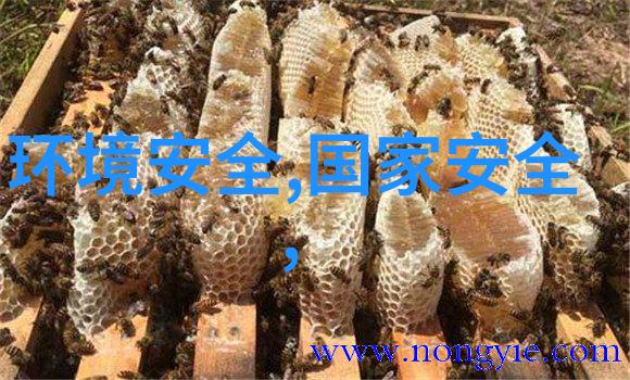 探索南国奇境从河南到云南的自驾之旅