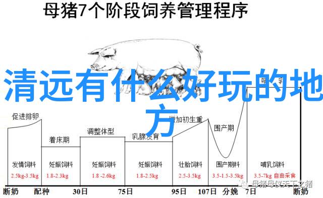 上海周边自驾游攻略2023甘青大环线旅游线路图