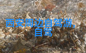 户外活动之谜大班小朋友的秘密世界观察记录