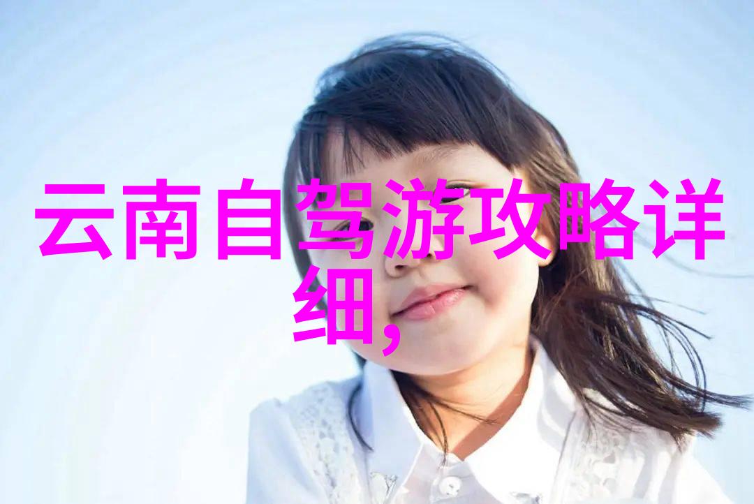 探索全国小吃街美食街排名好看又美味的美食节目推荐