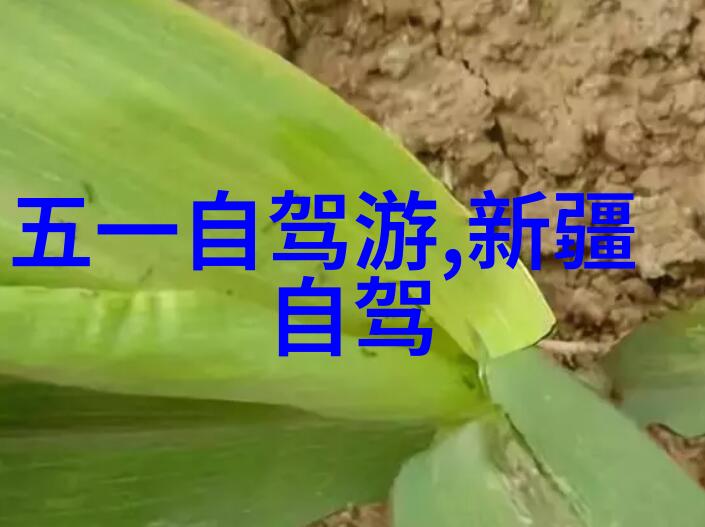 古代文明遗址探秘揭秘中土之冠故都长安的历史与文化