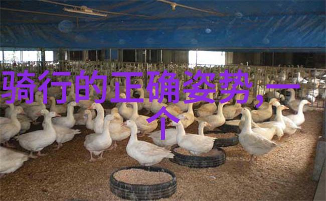 苏州悠然居住探索古典园林之美的最佳选择