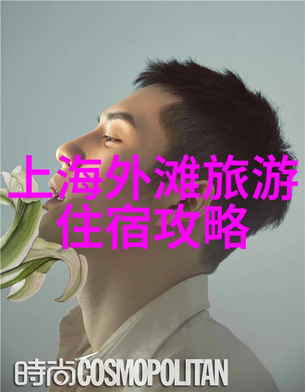 揭秘最受欢迎的国内旅游景点排行自然奇观历史古迹与现代都市