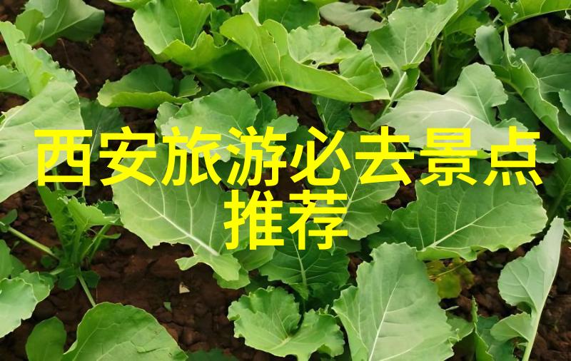 重庆景点探秘我眼中的山城奇遇