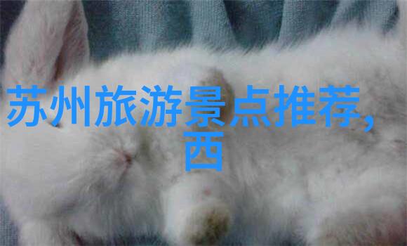 文化体验之旅深入了解亚洲古城