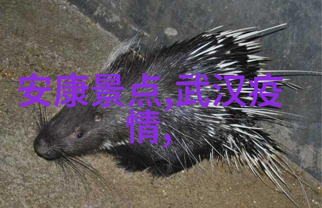 探索上海人民广场周边的美食秘密小众拍照角落复古商店和不容错过的味蕾之旅