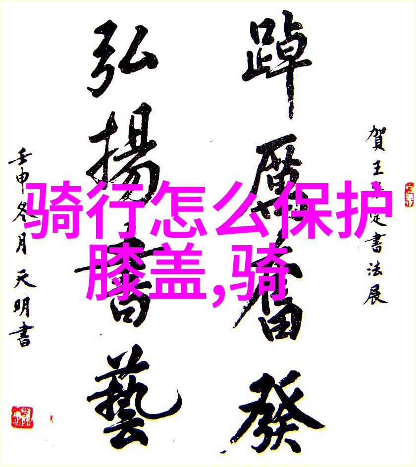 骑行新旅探索智能APP的骑行世界