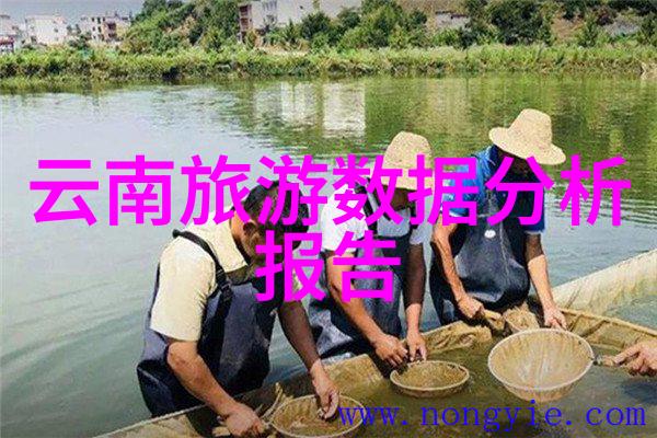 湛江这边有个小秘密跟我来逗留一晚你就知道为什么它是海滨明珠了