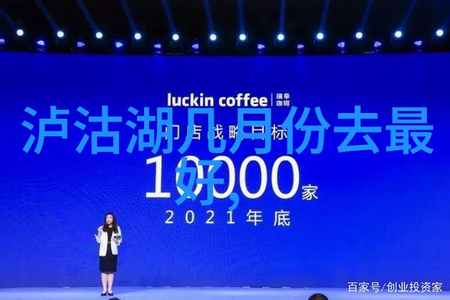 潜水探秘三亚蜈支洲岛自由行海底奇遇