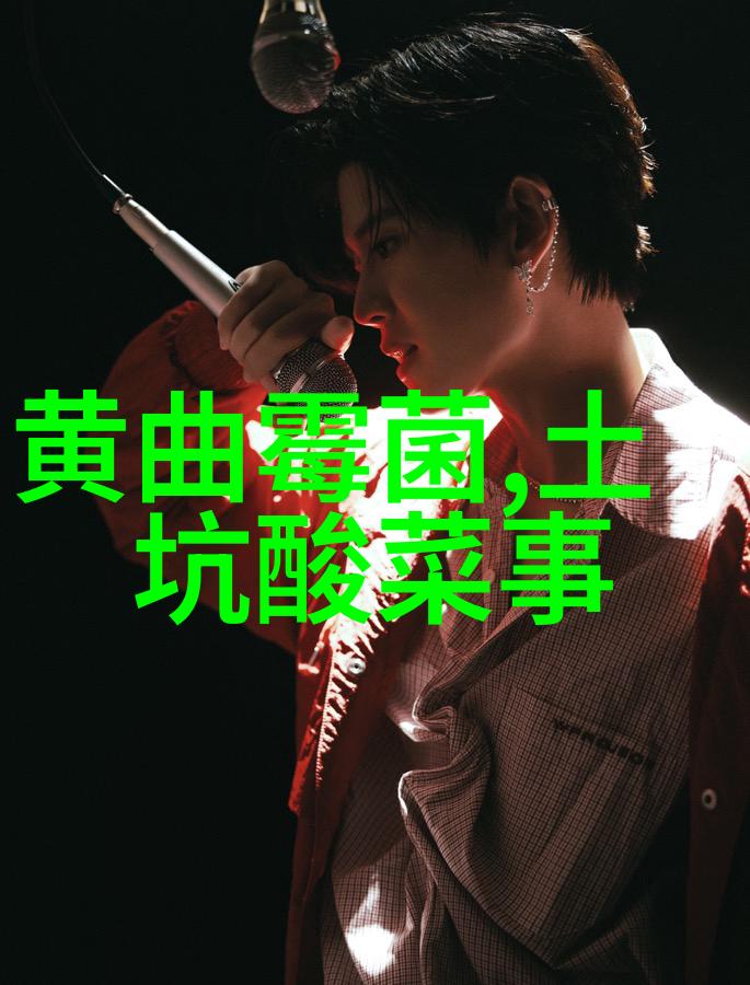 春节旅游热门景点探秘新春喜气盈门的最佳去处