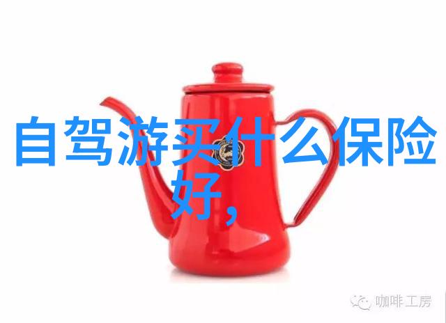亲情的力量儿子与妈妈之间不言而喻的联系
