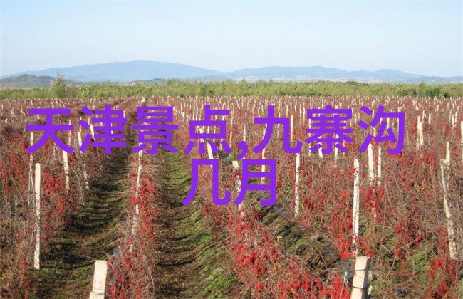 秦风漫步西安周边的秘密角落