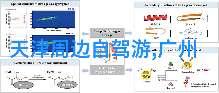 欧洲古城小径追寻罗马和巴黎的足迹