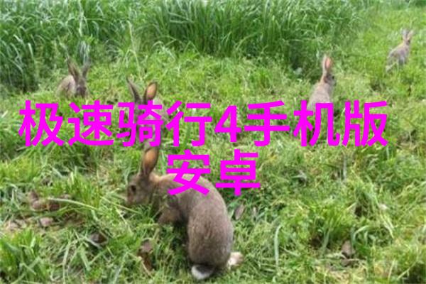 全球疫情防控措施调整多国旅行限制放宽