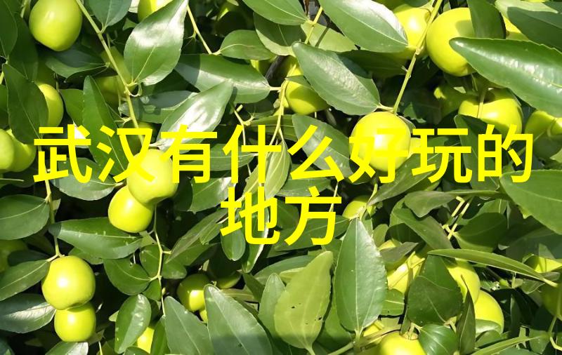 团队协作与个人成长探索团队拓展训练在现代组织中的意义与价值