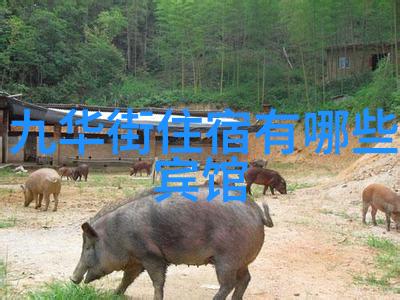 圣水湖景区